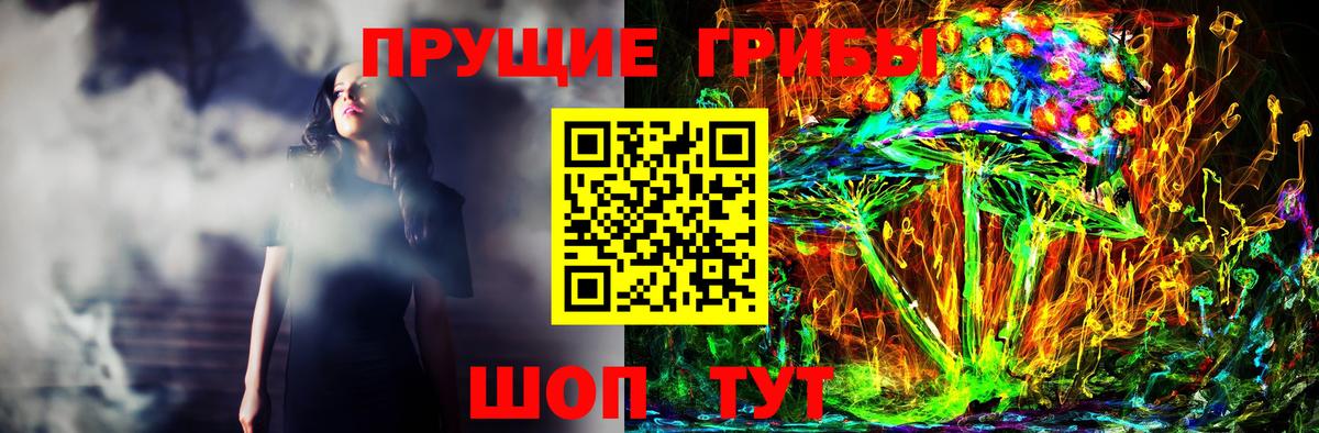 Псилоцибиновые грибы мицелий Гатчина